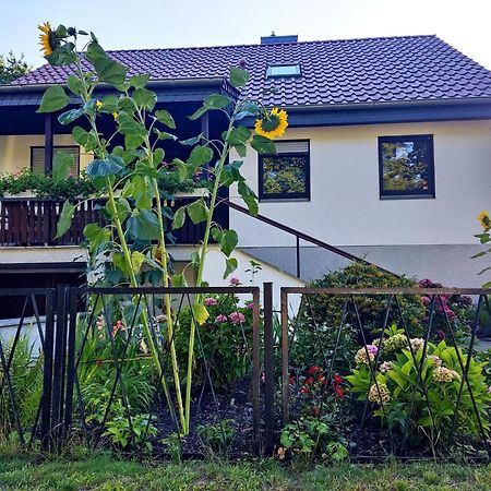 Waldhus Villa Uckeritz Exterior photo