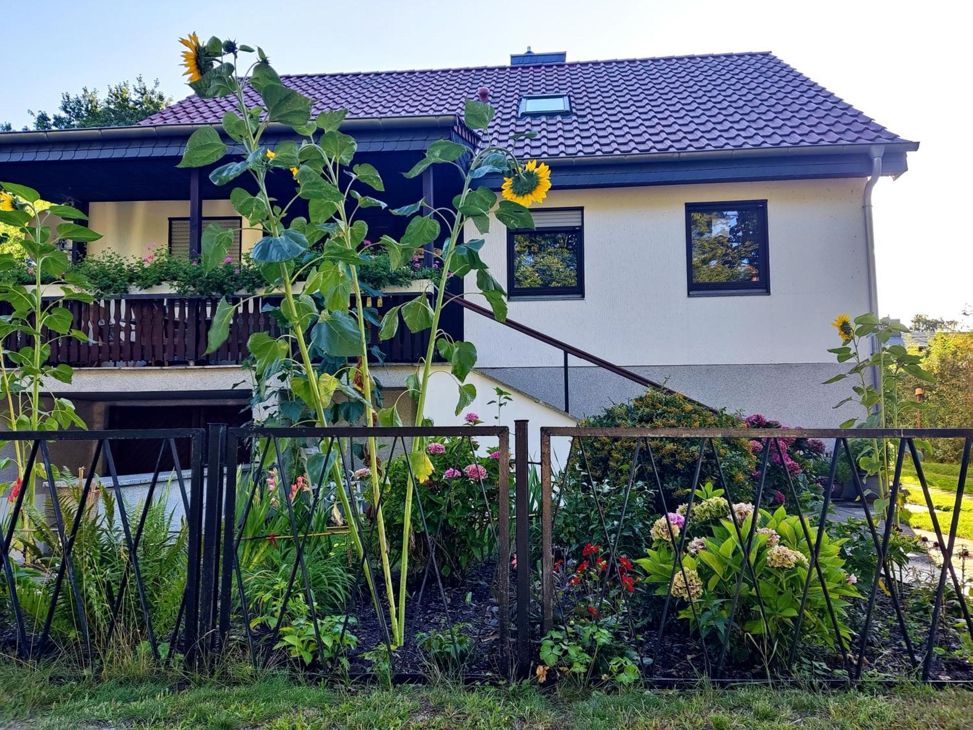 Waldhus Villa Uckeritz Exterior photo
